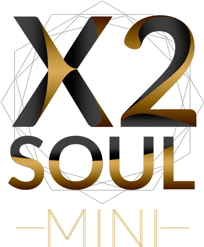Allview X2 Soul Mini